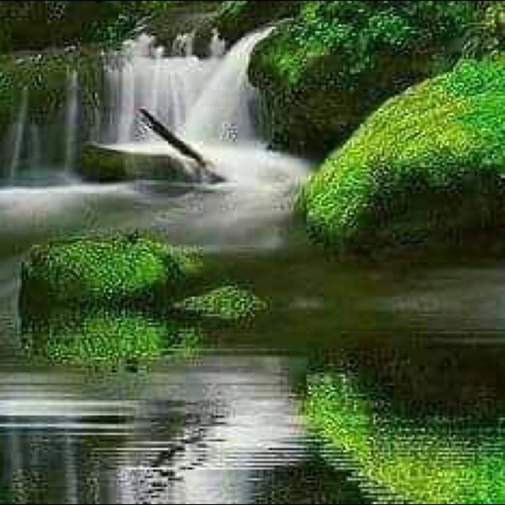 Meet your Posher, Kandy